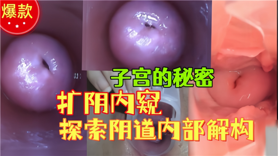 子宫的秘密！！扩阴内窥探索阴道内部结构